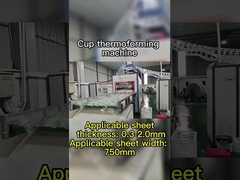 Máquina de termoformagem a vácuo de controlo PLC para materiais degradáveis Profundidade máxima de formação 180 mm