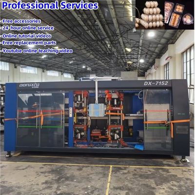 Máquina de fabricação de bandejas de ovos de plástico industrial usada Máquina de termoformagem de plástico de alta automação