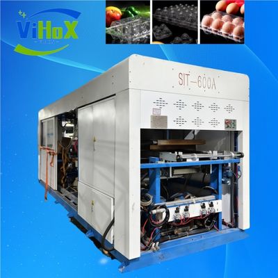 Máquina eficiente de termoformagem de bandejas de alimentos de plástico