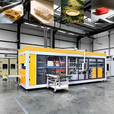 Máquina Termoformadora Totalmente Automática para Embalagens Plásticas para Levar